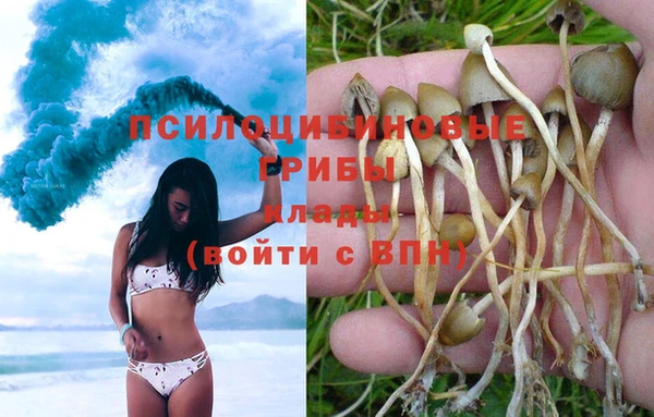 Альфа ПВП Верея