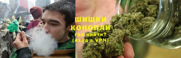 Альфа ПВП Верея