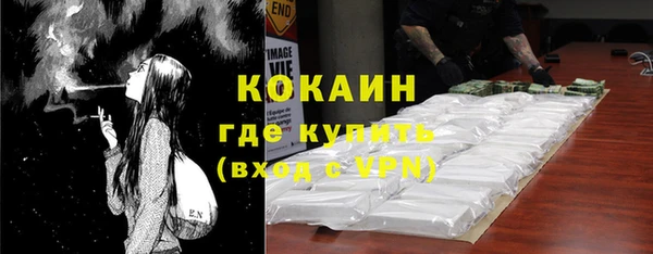 амф Верхний Тагил