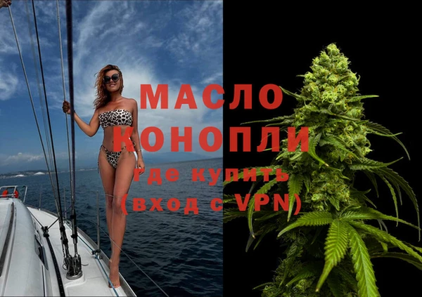 амф Верхний Тагил
