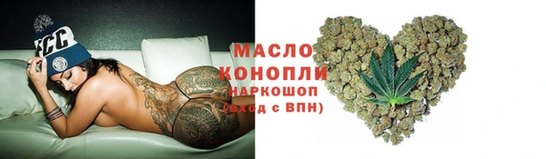 амф Верхний Тагил