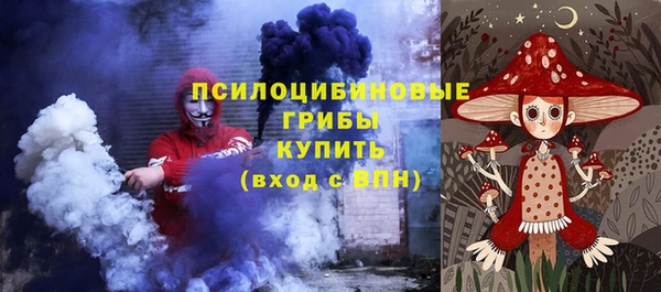 PSILOCYBIN Волоколамск