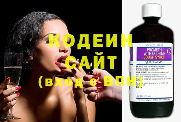 Альфа ПВП Верея