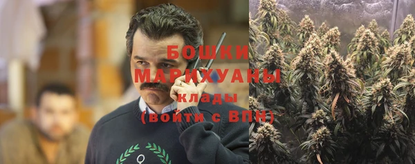 Альфа ПВП Верея