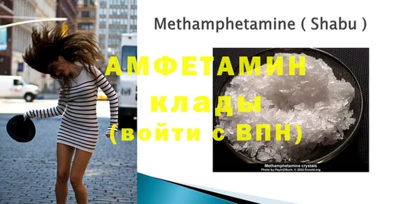амф Верхний Тагил