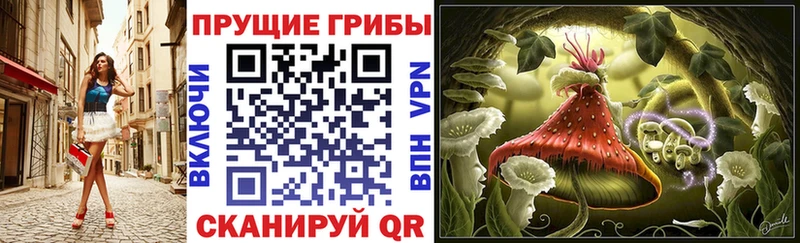 купить закладку  Зима  Псилоцибиновые грибы Psilocybe 